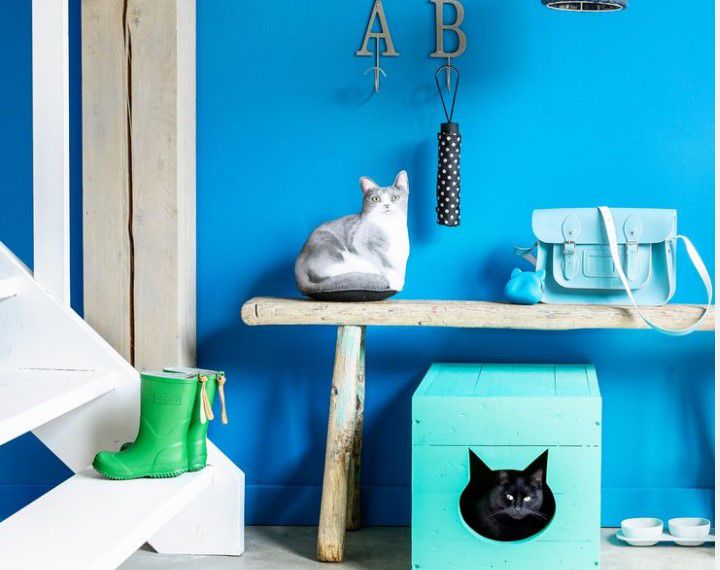 Kedi Tuvaletini Gizlemek İçin En Güzel 9 Yol Ev dekorasyonu
